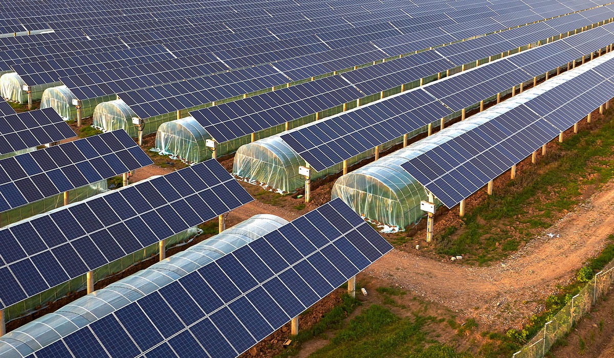 Solar Panels